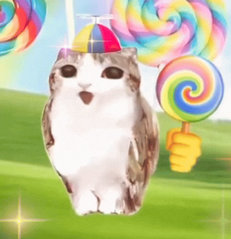 Cat GIF